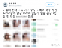 기사이미지